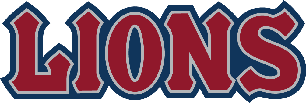 Loyola Marymount Lions 2008-2018 Wordmark Logo v2 diy DTF decal sticker